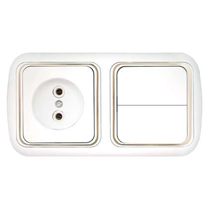 Блок СП (розетка без заземл. + 2-кл. выкл.) бел. Bylectrica 2В-РЦ-535