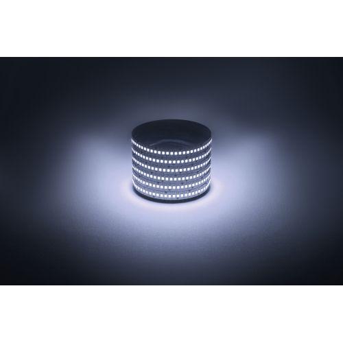 Лента светодиодная LS2835 -19.2-240-12-6500K-IP20-1 year-5m холод. бел. (уп.5м) Эра Б0059908