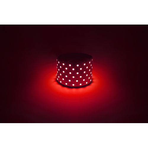 Лента светодиодная LS5050 -14.4-60-12-R-IP20-1 year-5m красн. (уп.5м) Эра Б0059919