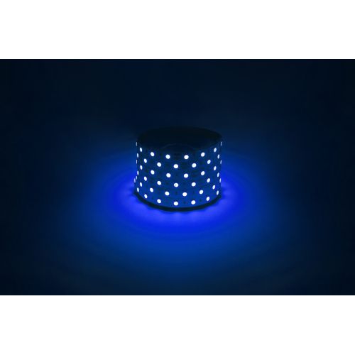 Лента светодиодная LS5050 -14.4-60-12-B-IP20-1 year-5m син. (уп.5м) Эра Б0059921