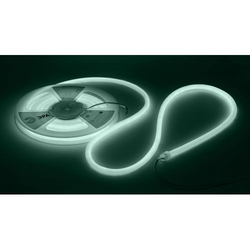 Лента светодиодная LS2835-9.6-120-24-6500K-IP68-5м 24В термостойкая для бани холод. бел. в комплекте: 2 заглушки; 10 крепежей (уп.5м) Эра Б0062329