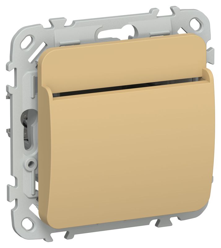 Выключатель карточный СП FLITE ВК-0-ФлШм 30А механизм шамуа IEK FI-V11-0-10-K89