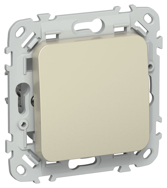 Выключатель кнопочный 1-кл. СП FLITE ВС11-2-0-ФлШ 10А механизм шампань IEK FI-V14-0-10-1-K37