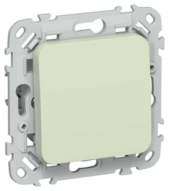 Выключатель кнопочный проходной 1-кл. СП FLITE ВС61-2-0-ФлП 10А механизм панг IEK FI-V18-0-10-1-K92