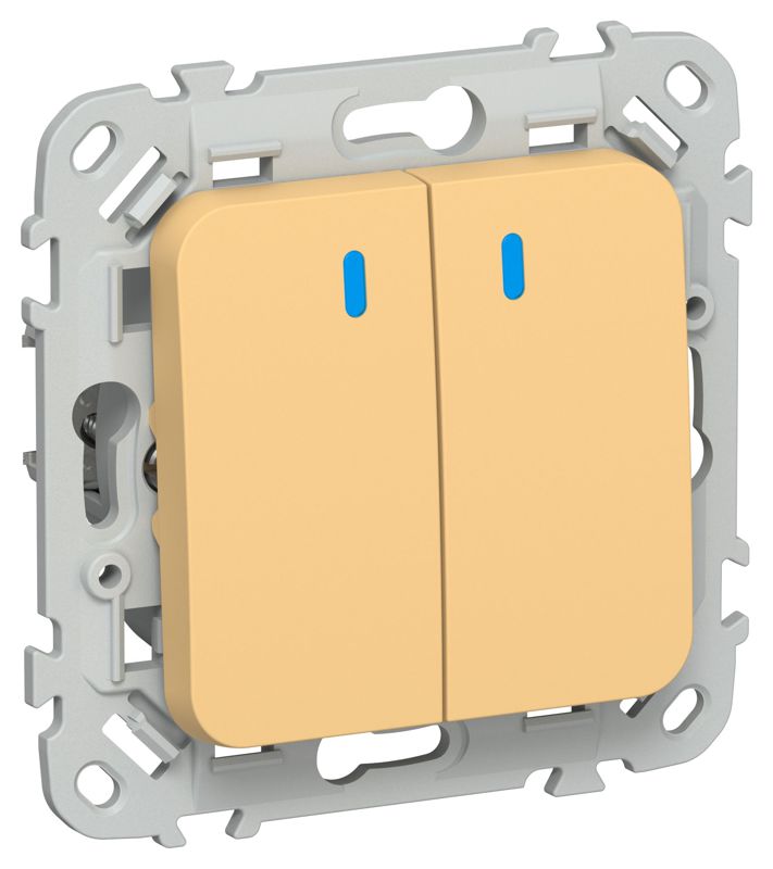 Выключатель кнопочный 2-кл. СП FLITE ВС12-2-1-ФлЗ 10А с индикацией механизм золотарник IEK FI-V24-1-10-1-K90