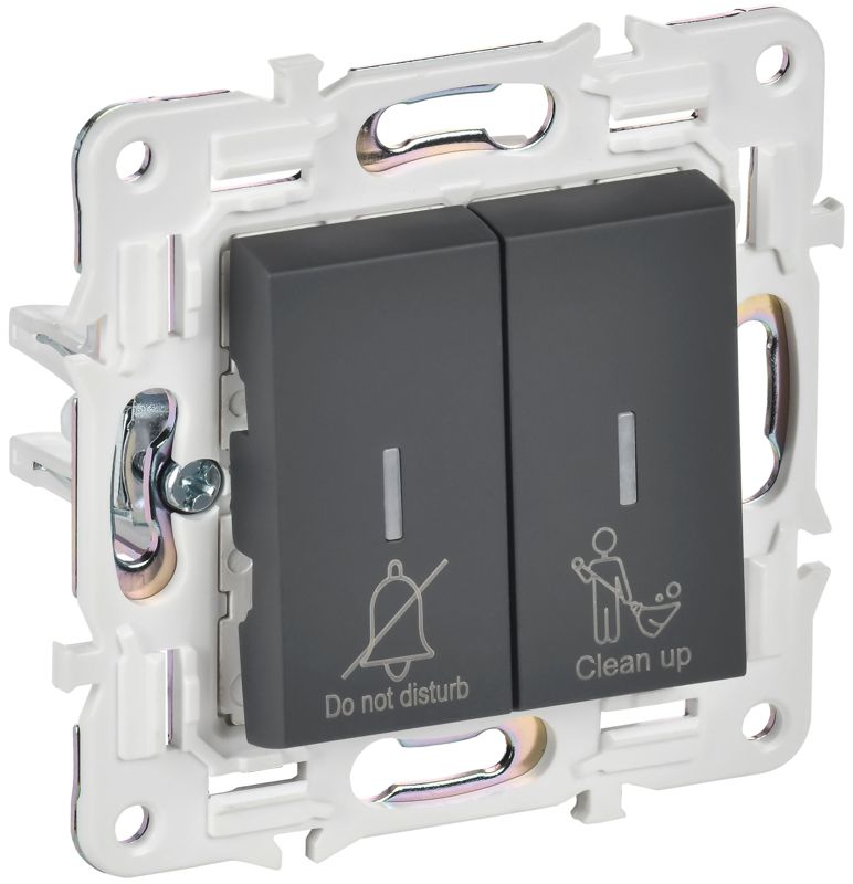 Выключатель 2-кл. SKANDY 10А SK-V16G для отелей с индикацией графит IEK SK-V20-2-10-K53