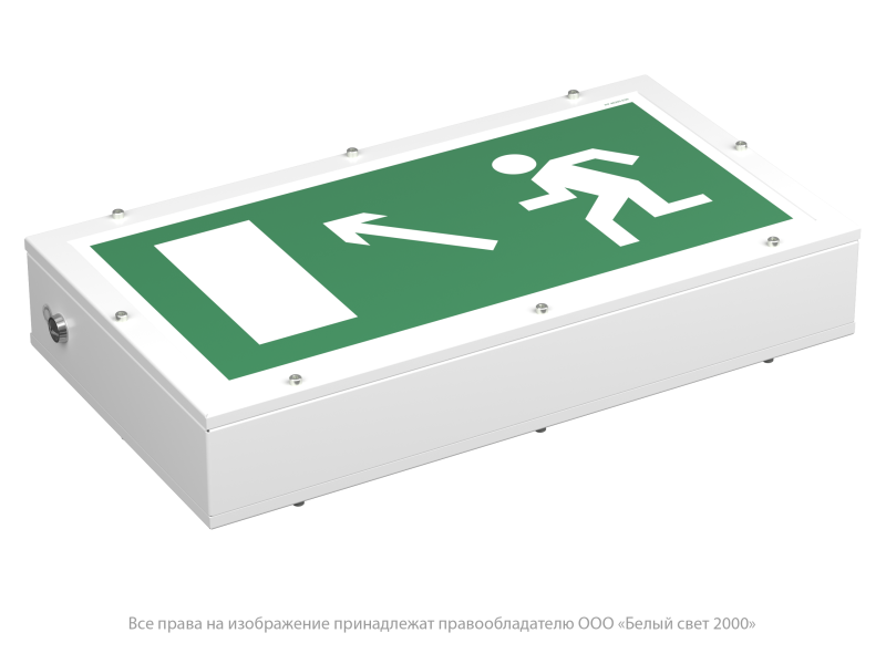 Указатель световой BS-FLAGMAN-51-S1-INEXI3 Белый свет a15667